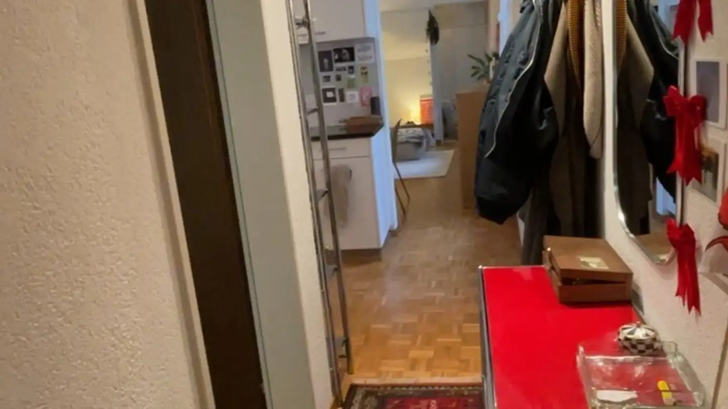 Appartement à louer - 8400 Winterthur