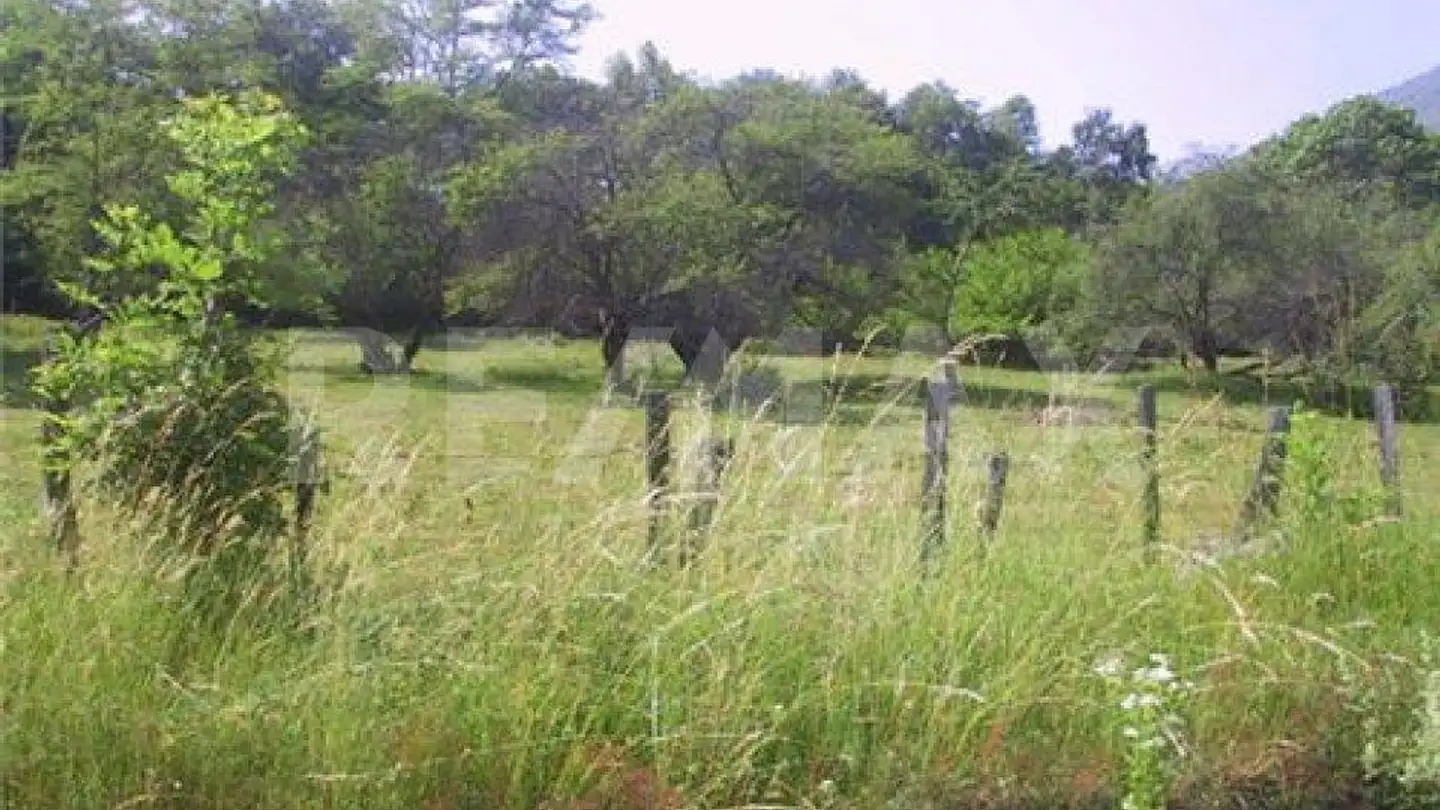 Terrain constructible à vendre - 6997 Sessa - Photo 2