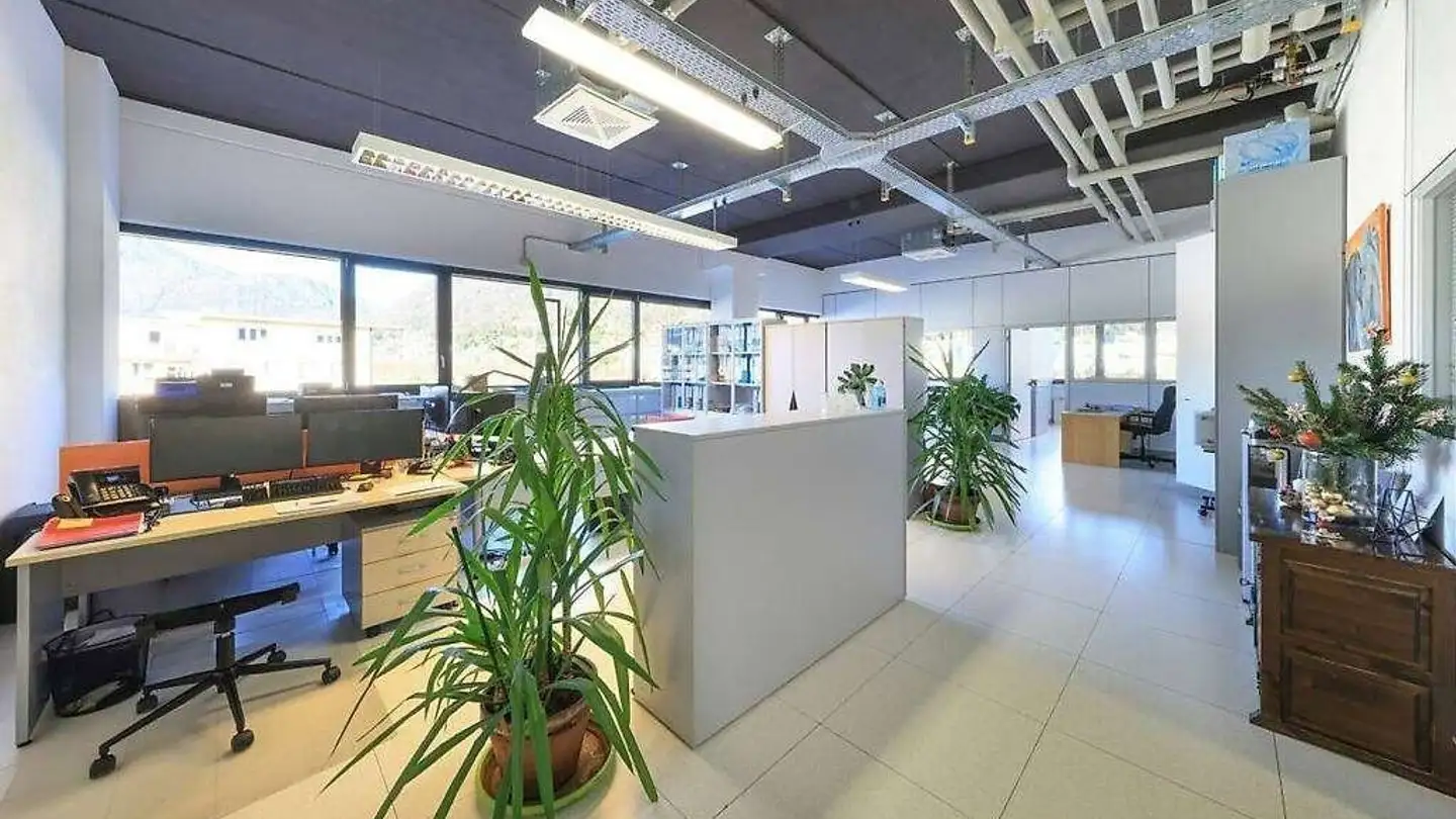 Office space for rent - 6616 Losone - Photo 2