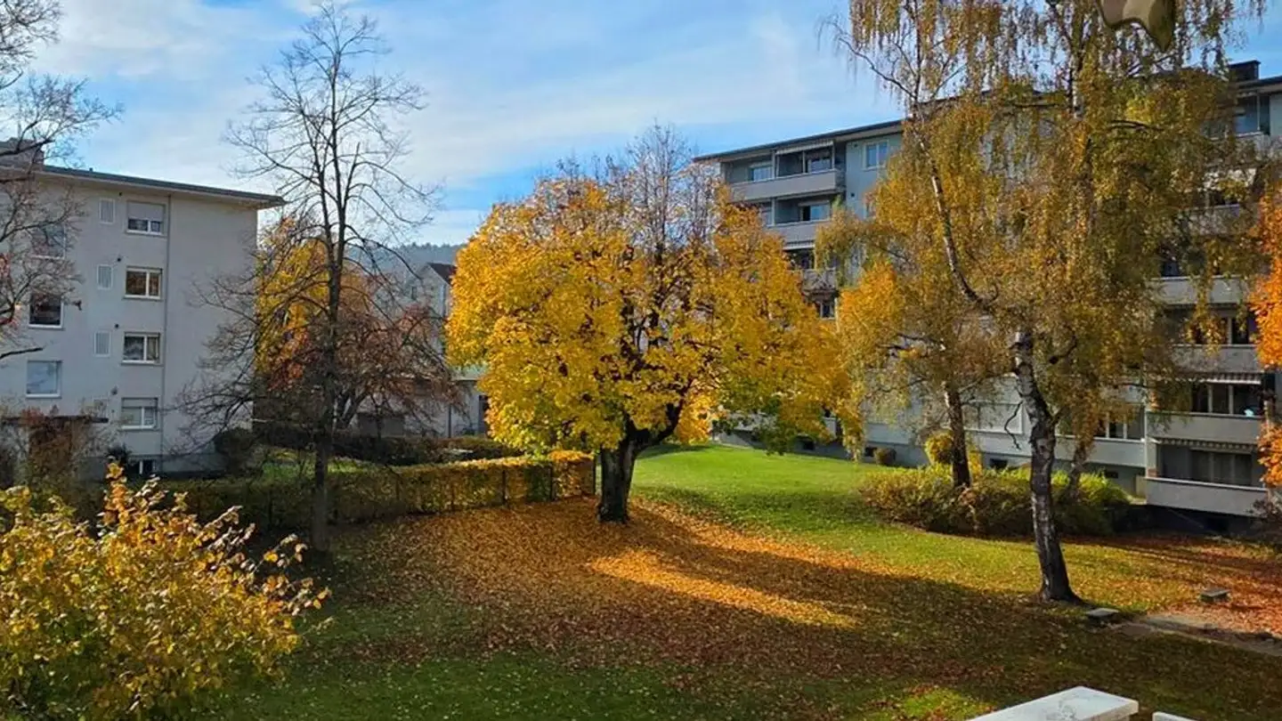 Appartement à louer - Schöneggstrasse 148, 8953 Dietikon