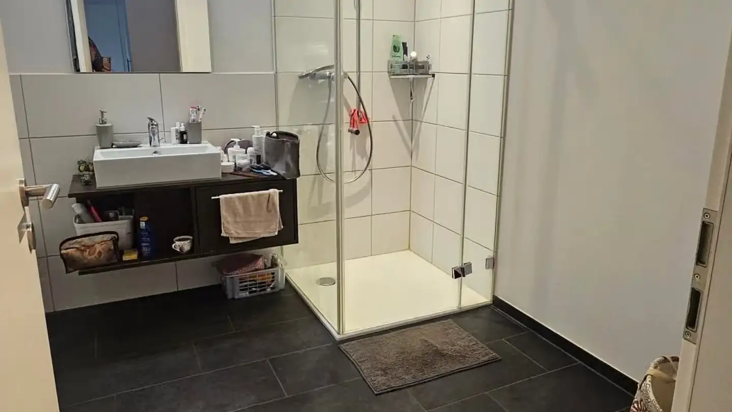 Appartamento in affitto - Eigenstrasse 4, 8840 Trachslau - Foto 4