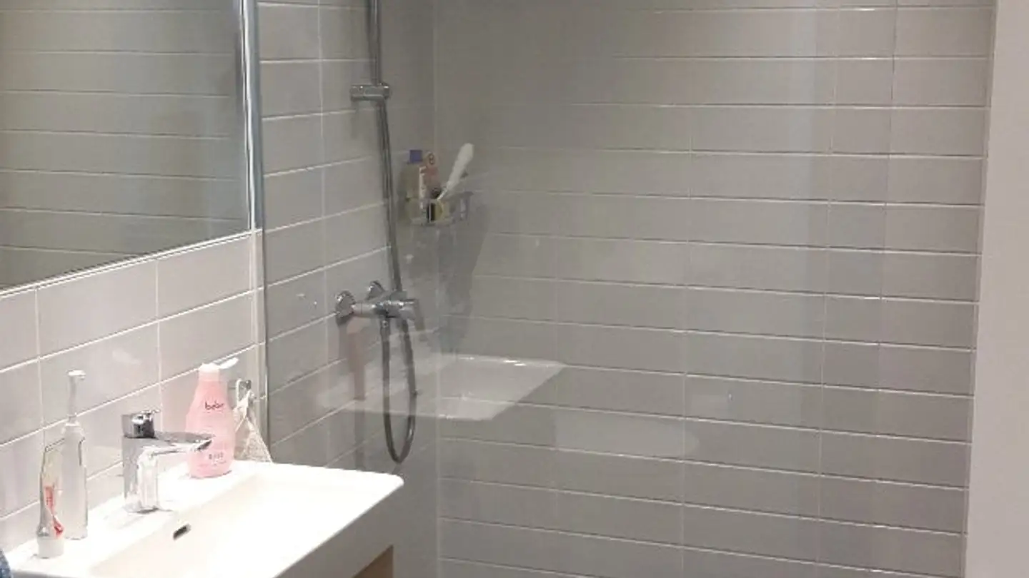 Apartment for rent - Im Sihlhof 2, 8134 Adliswil - Photo 3