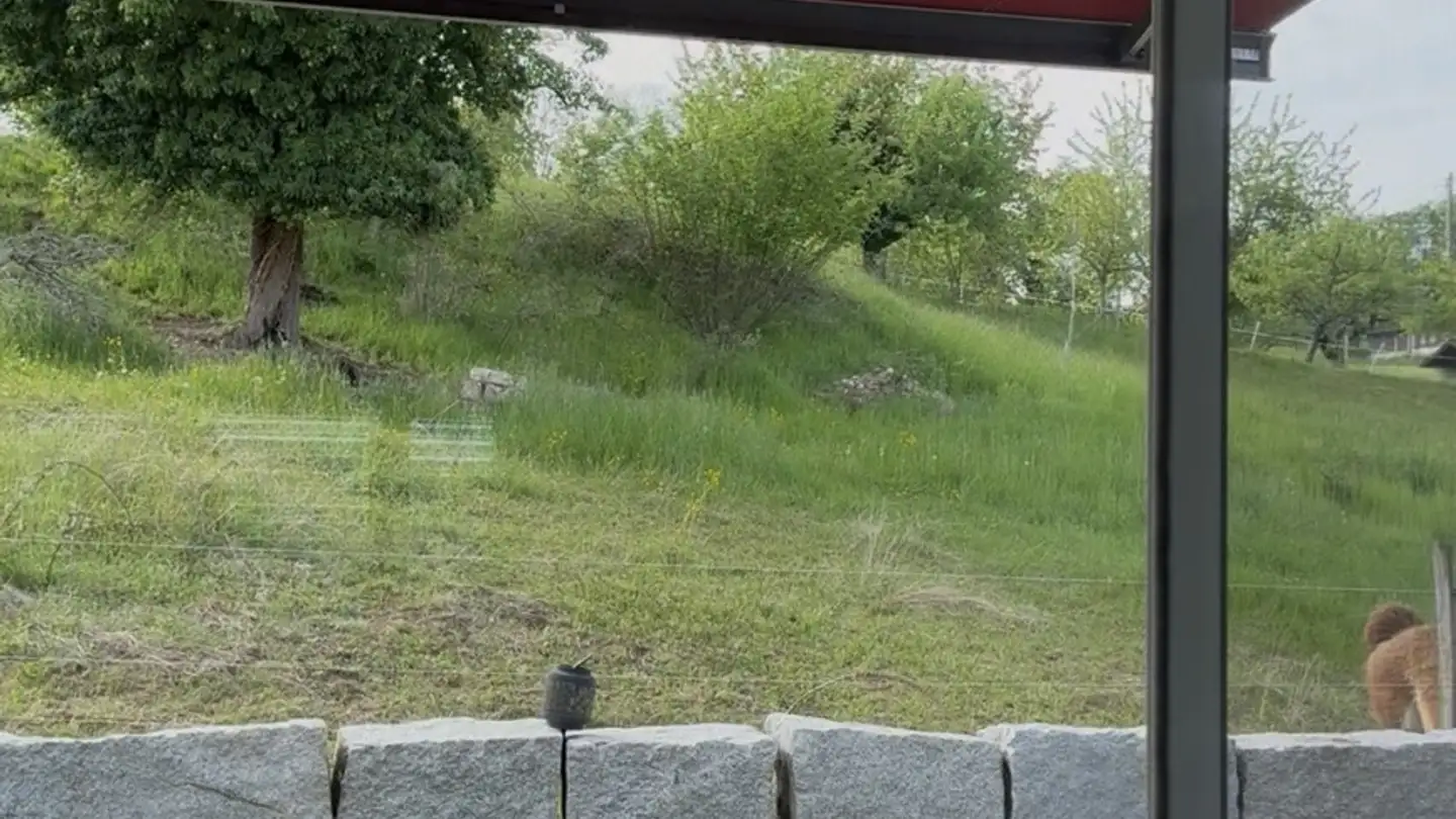 Appartamento in affitto - 4424 Arboldswil - Foto 2