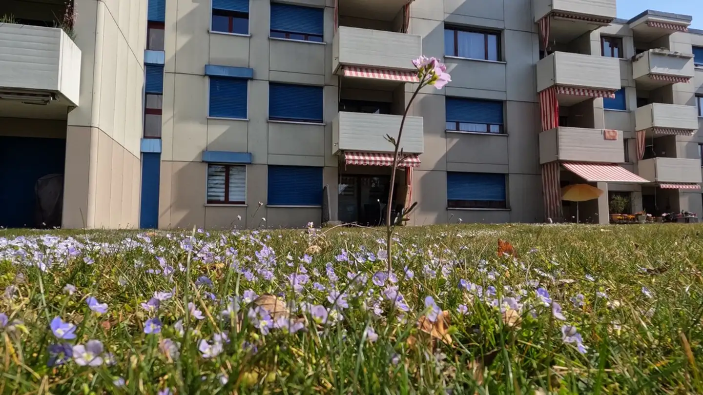 Wohnung mieten - Belchenstrasse 7b, 4900 Langenthal
