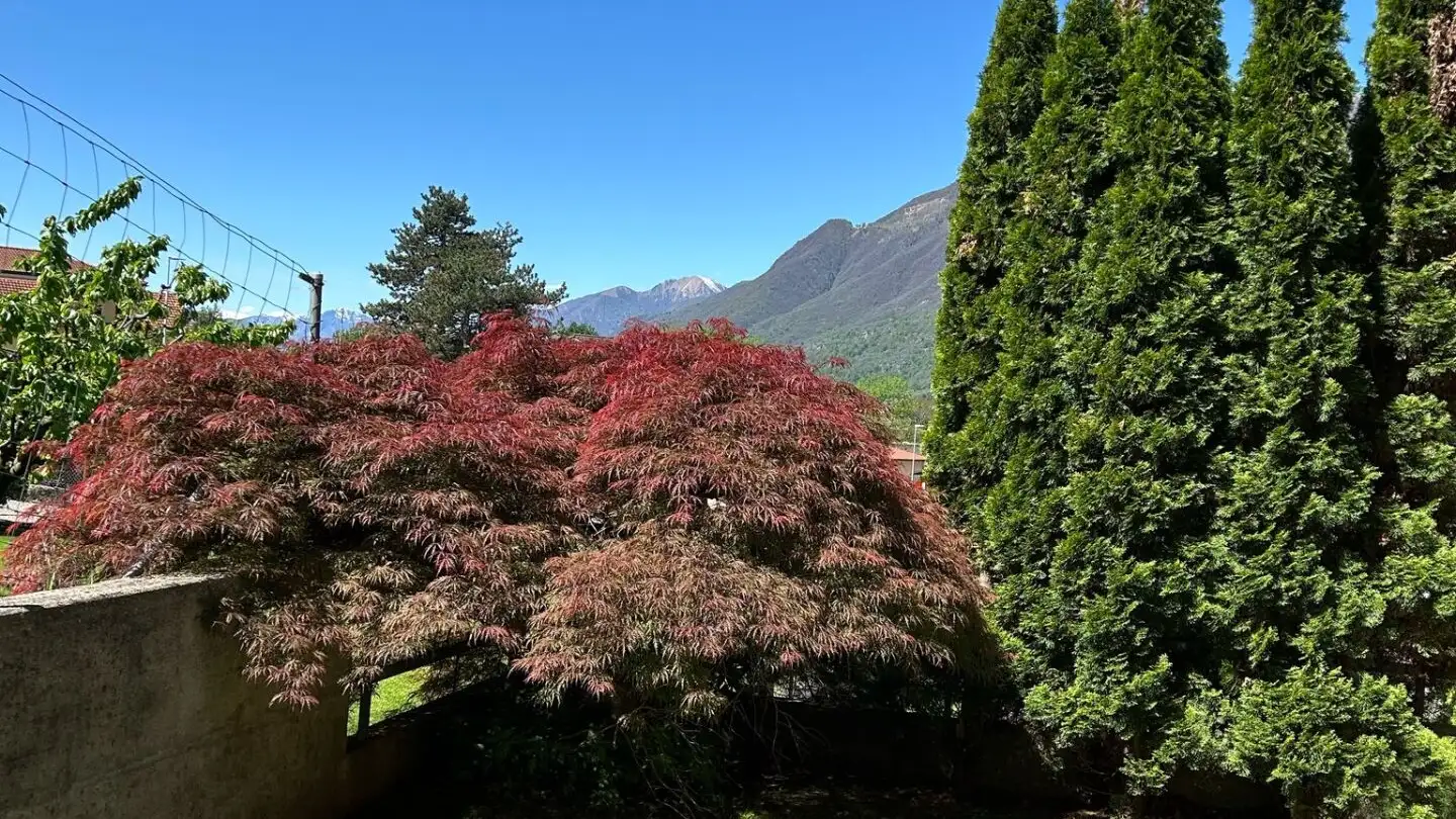 Maison individuelle à vendre - In Arla 10, 6528 Camorino - Photo 2