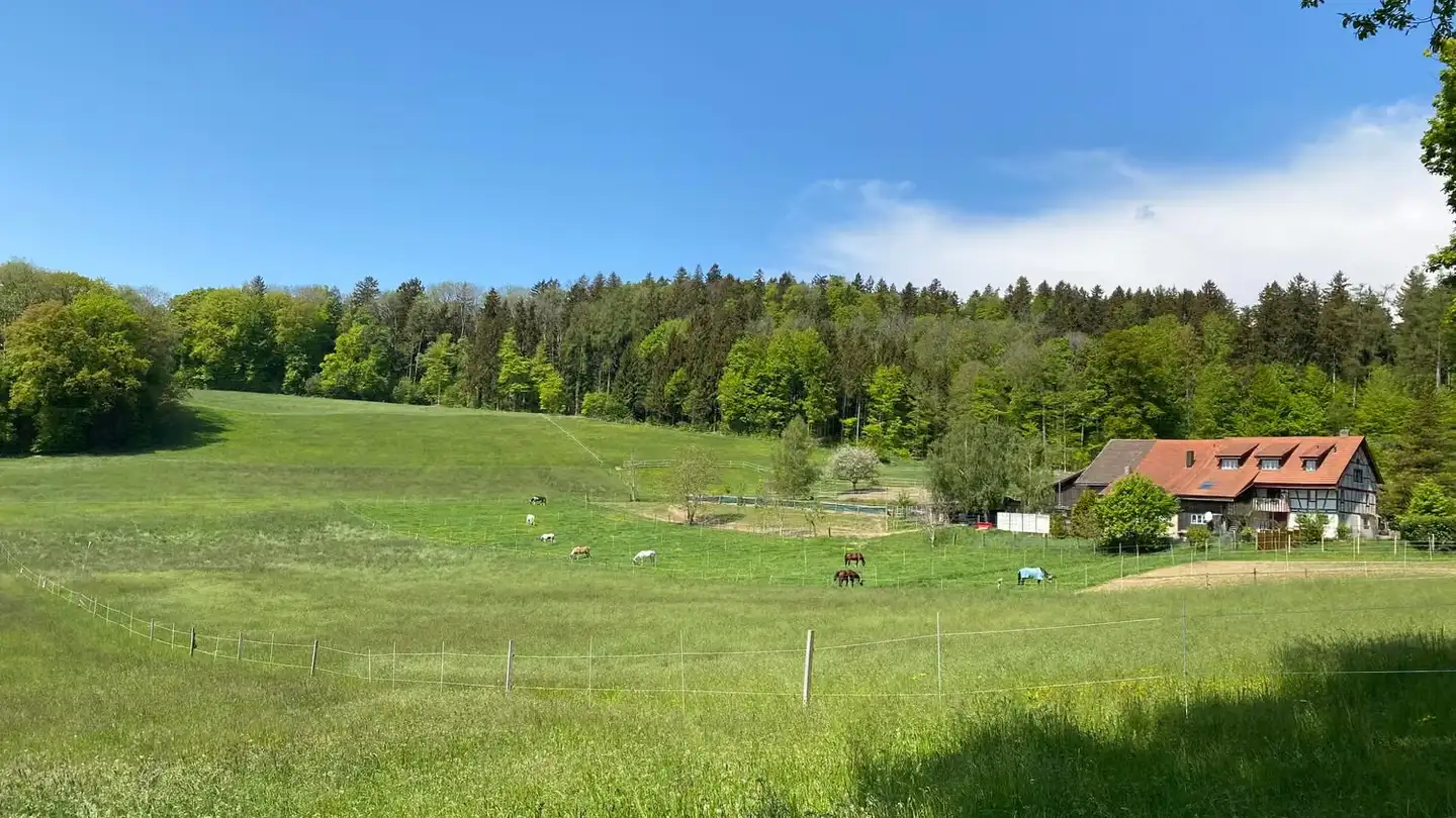 Appartement à louer - Ankenland, 8162 Steinmaur