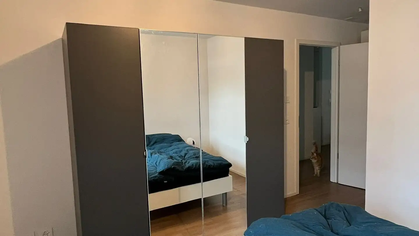 Appartamento in affitto - Rue D'aoste 7b, 1920 Martigny - Foto 2