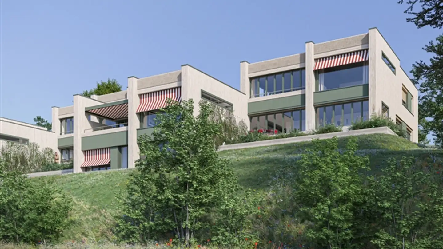 Appartement à vendre - Rosinenstrasse, 8253 Diessenhofen