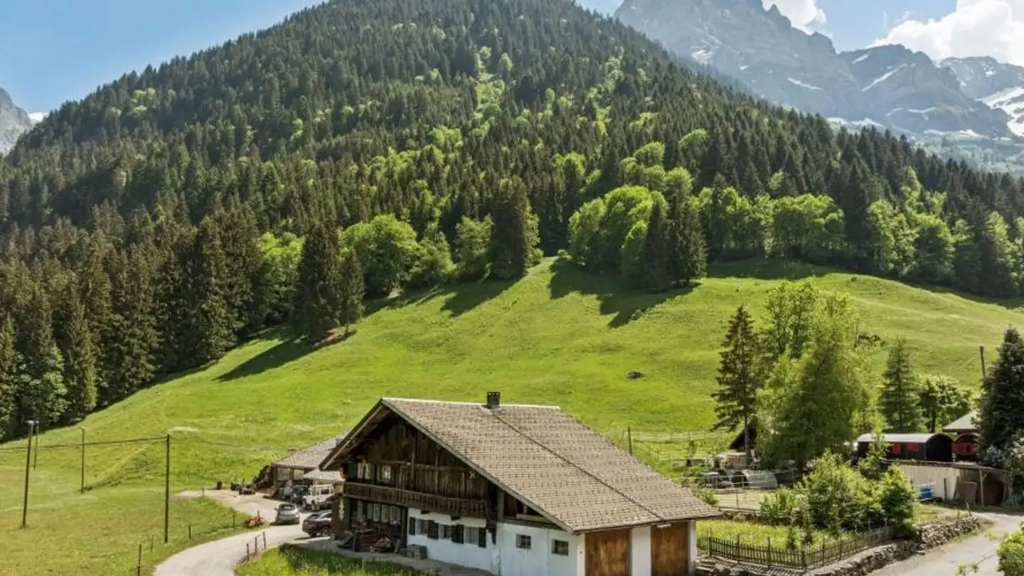 Chalet kaufen - Route du Grand-Paradis 31, 1874 Champéry