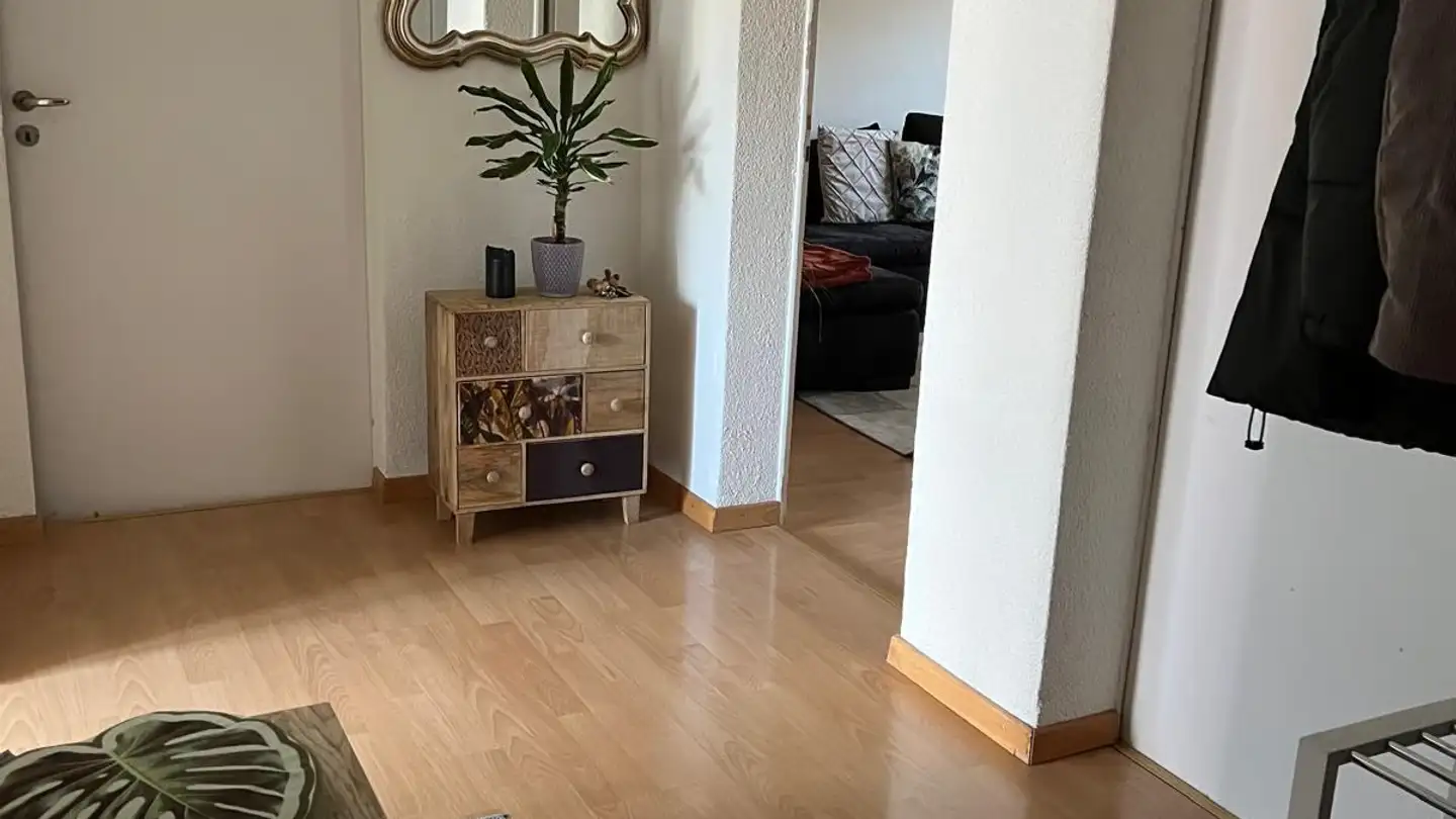 Stanza singola in affitto - Altstetterstrasse 235, 8048 Zürich - Foto 3