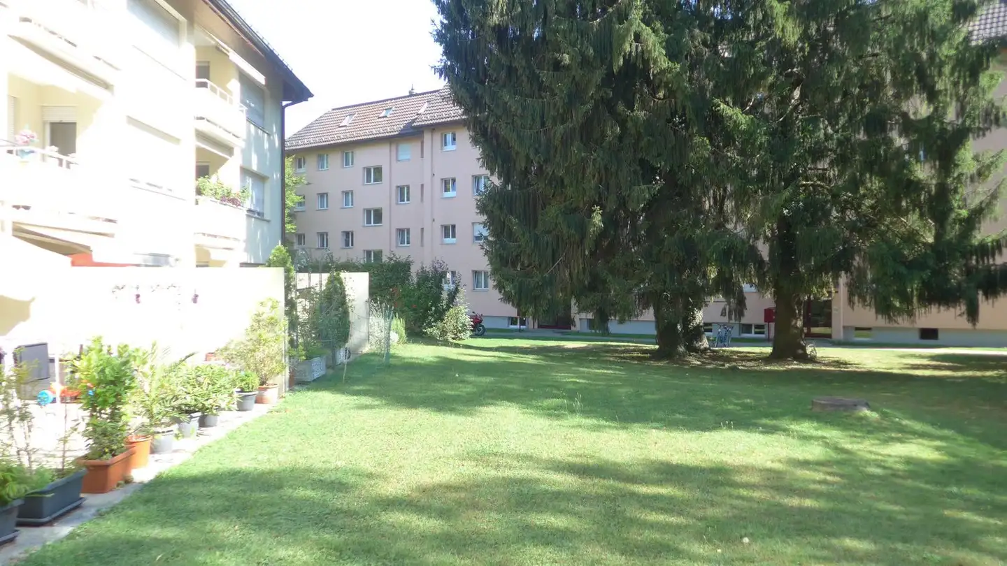 Apartment for rent - Im Langacker 4, 8600 Dübendorf - Photo 2