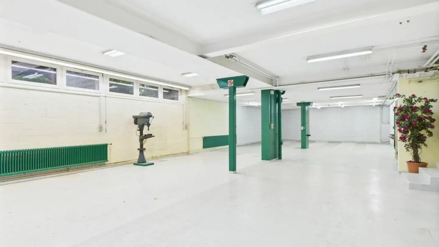 Commerciale in affitto - Schlösslistrasse 9, 6030 Ebikon - Foto 3