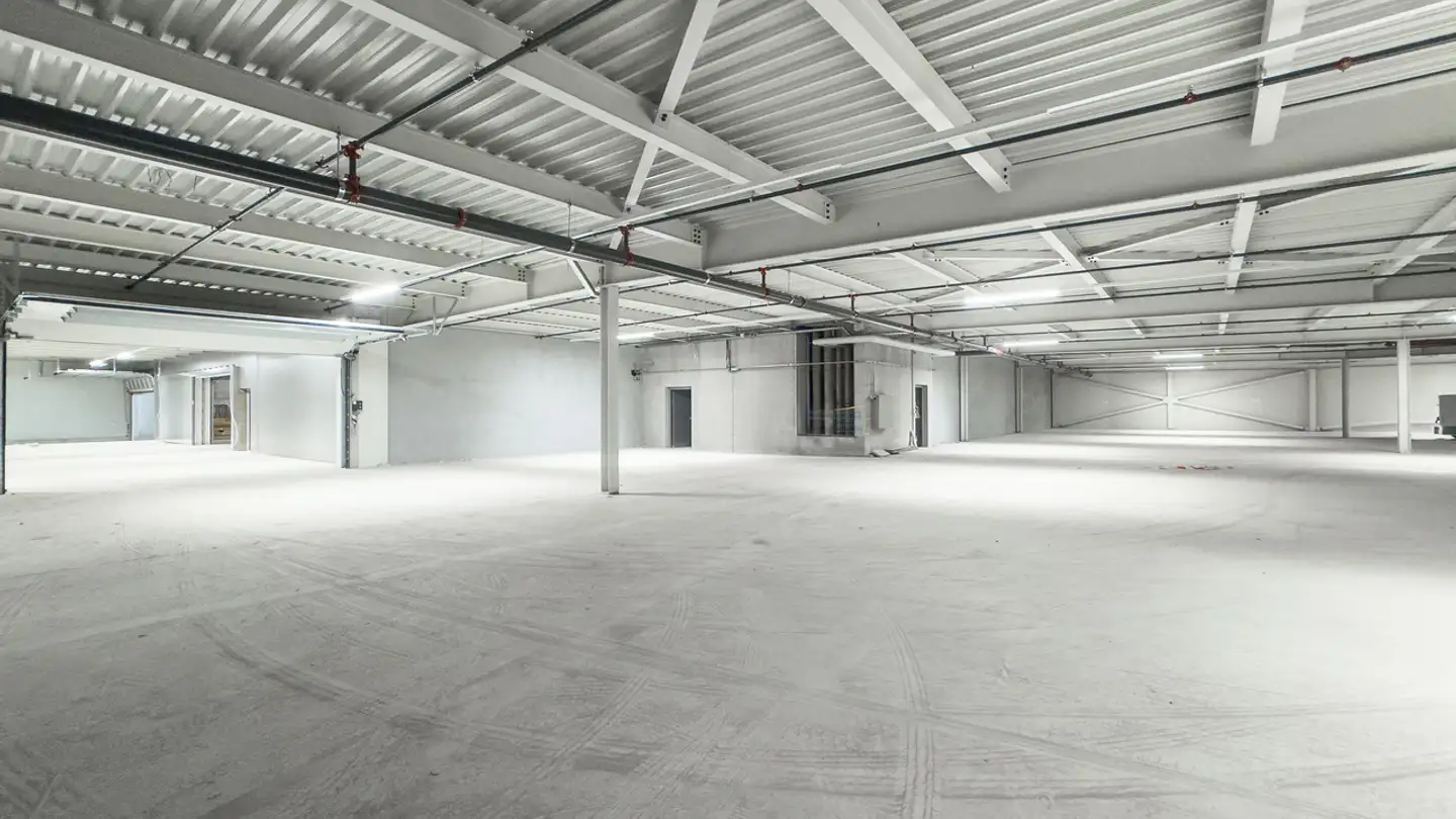 Commercial for rent - 1242 Satigny