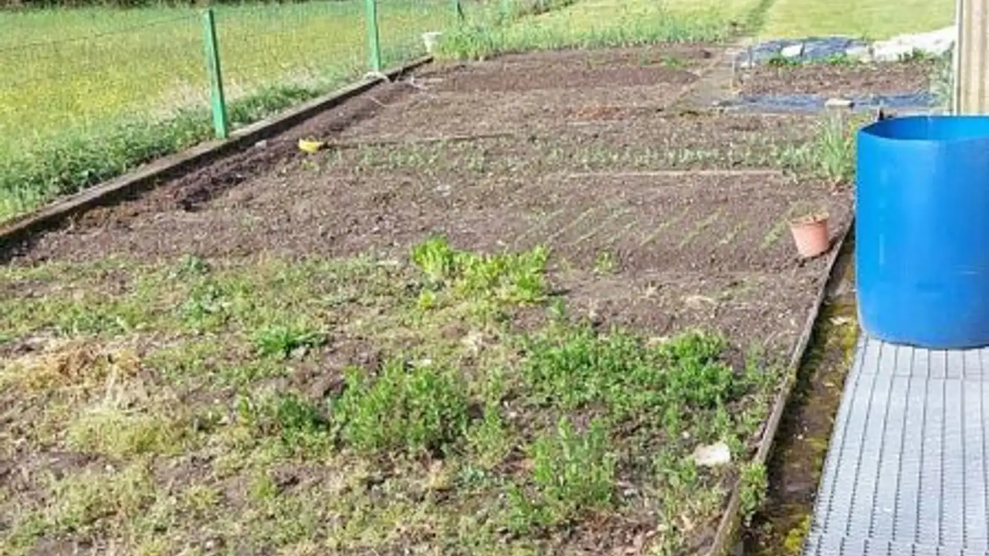 Kleingarten mieten - Langenthalstrasse 92, 4912 Aarwangen - Foto 4