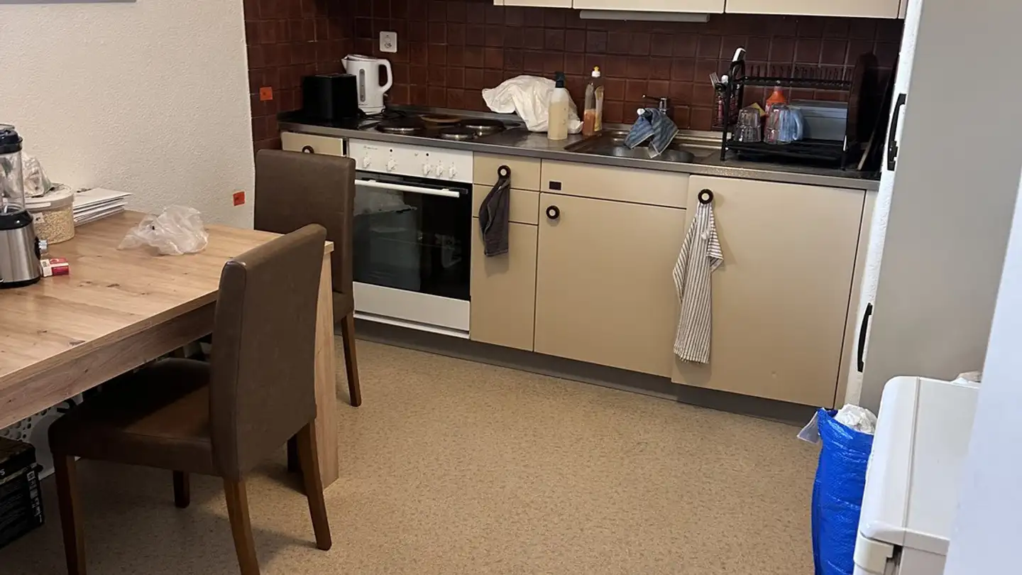 Furnished apartment for rent - 8134 Adliswil - Photo 3