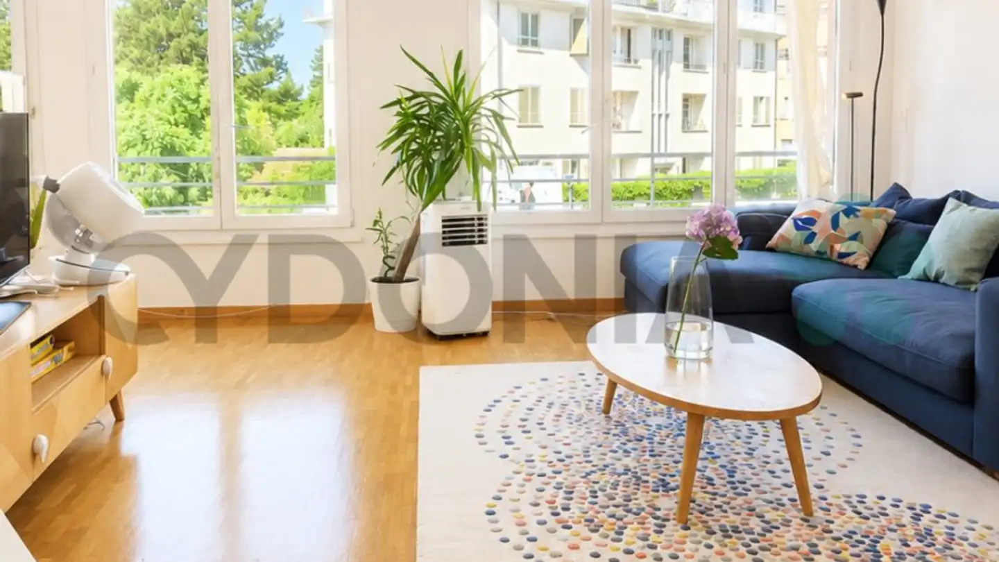 Appartamento in vendita - Avenue Maria-Belgia 3, 1006 Lausanne - Foto 3