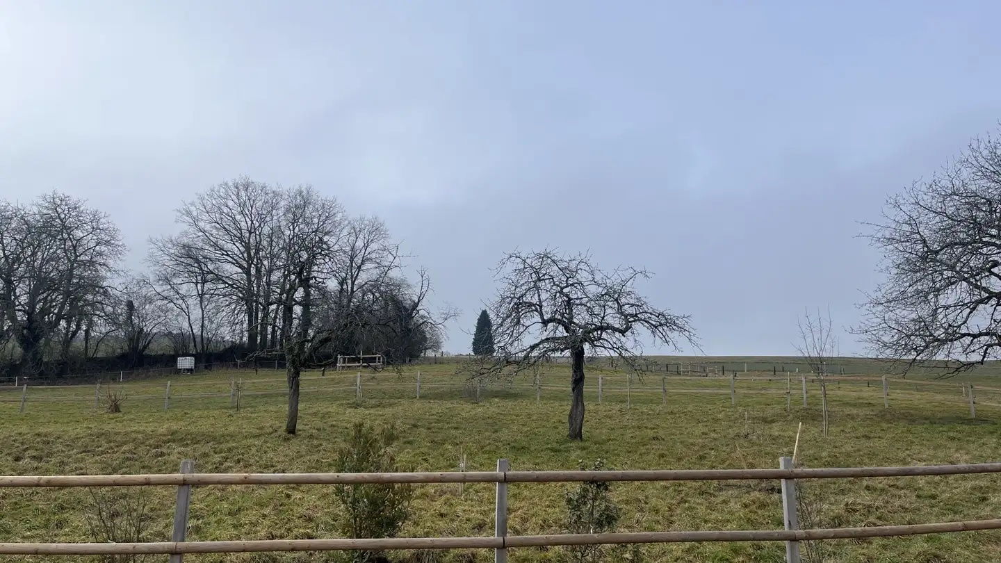 Casa singola in vendita - 1538 Treytorrens (Payerne)