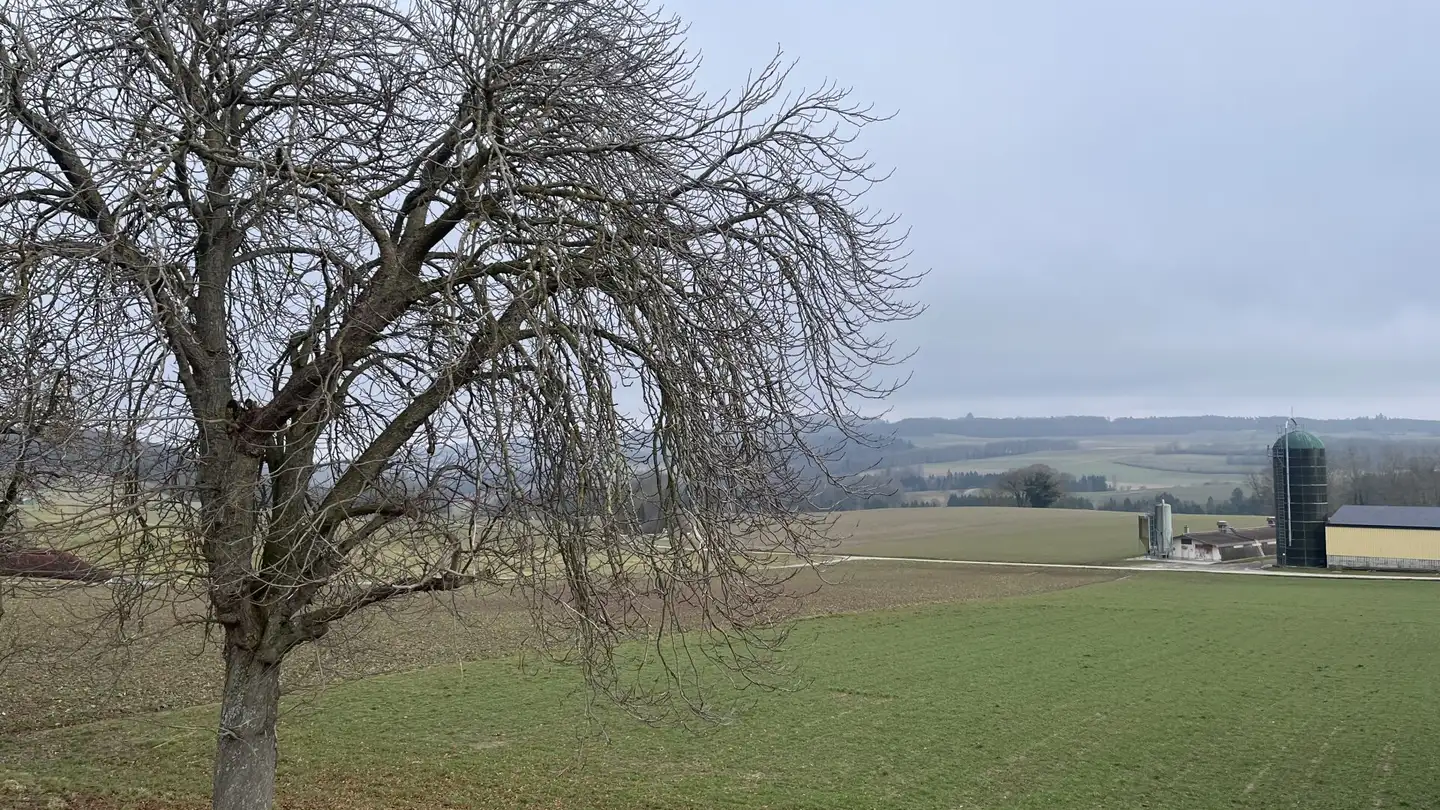 Casa singola in vendita - 1538 Treytorrens (Payerne) - Foto 3