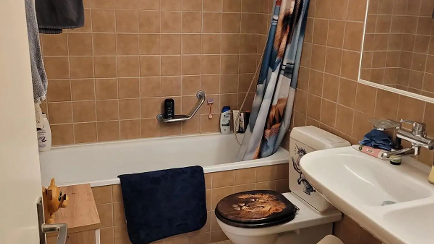 Apartment for rent - Meisenweg 2, 4802 Strengelbach - Photo 4