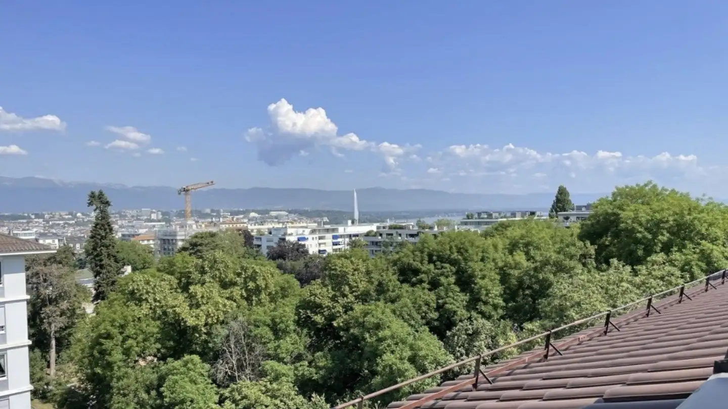 Appartement à louer - Rue Crespin 20, 1206 Genève - Photo 4