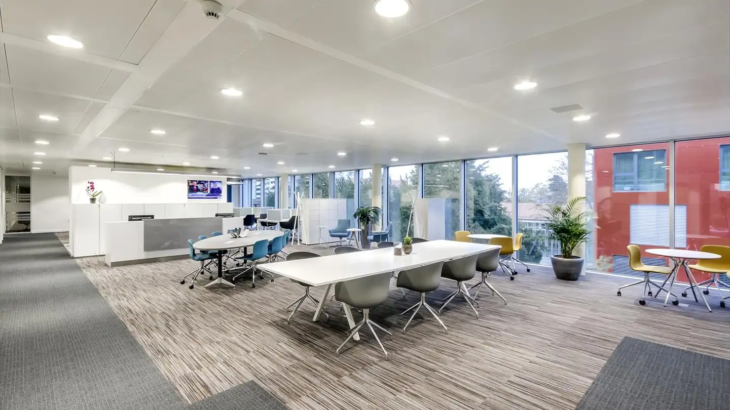 Spazio ufficio in affitto - Chemin Jean-Baptiste Vandelle 3a, 1290 Versoix - Foto 2