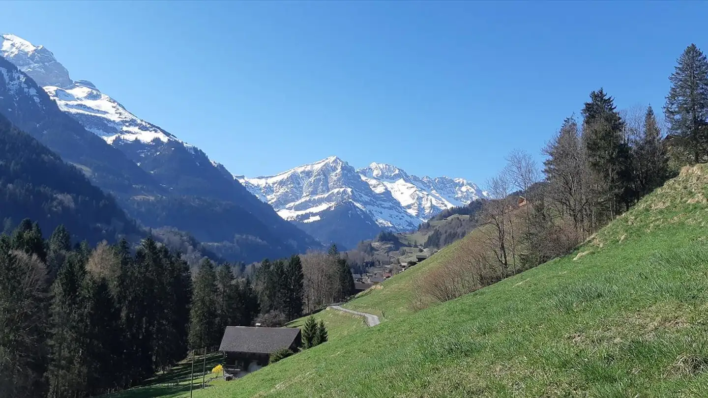 Property for sale - 1895 Vionnaz - Photo 3