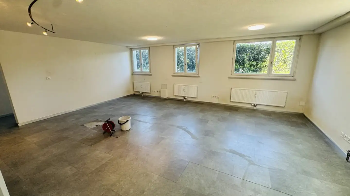 Gewerbe kaufen - Benkenstrasse 25, 4106 Therwil - Foto 4