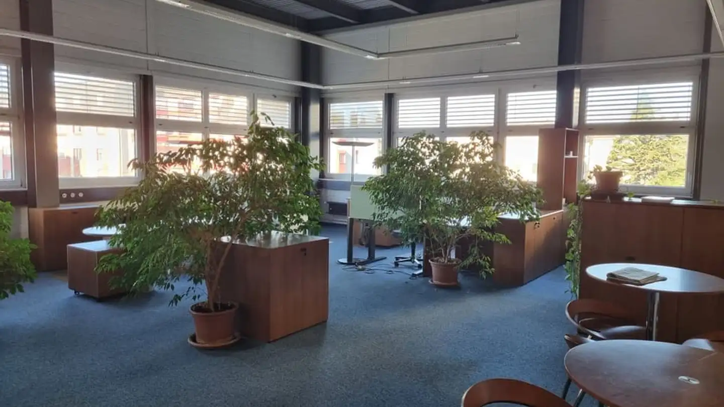 Commerciale in affitto - Rue Du Clos 12, 1800 Vevey