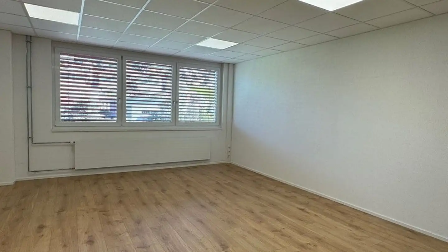 Spazio ufficio in affitto - An Der Reuss 5, 6038 Gisikon - Photo 2