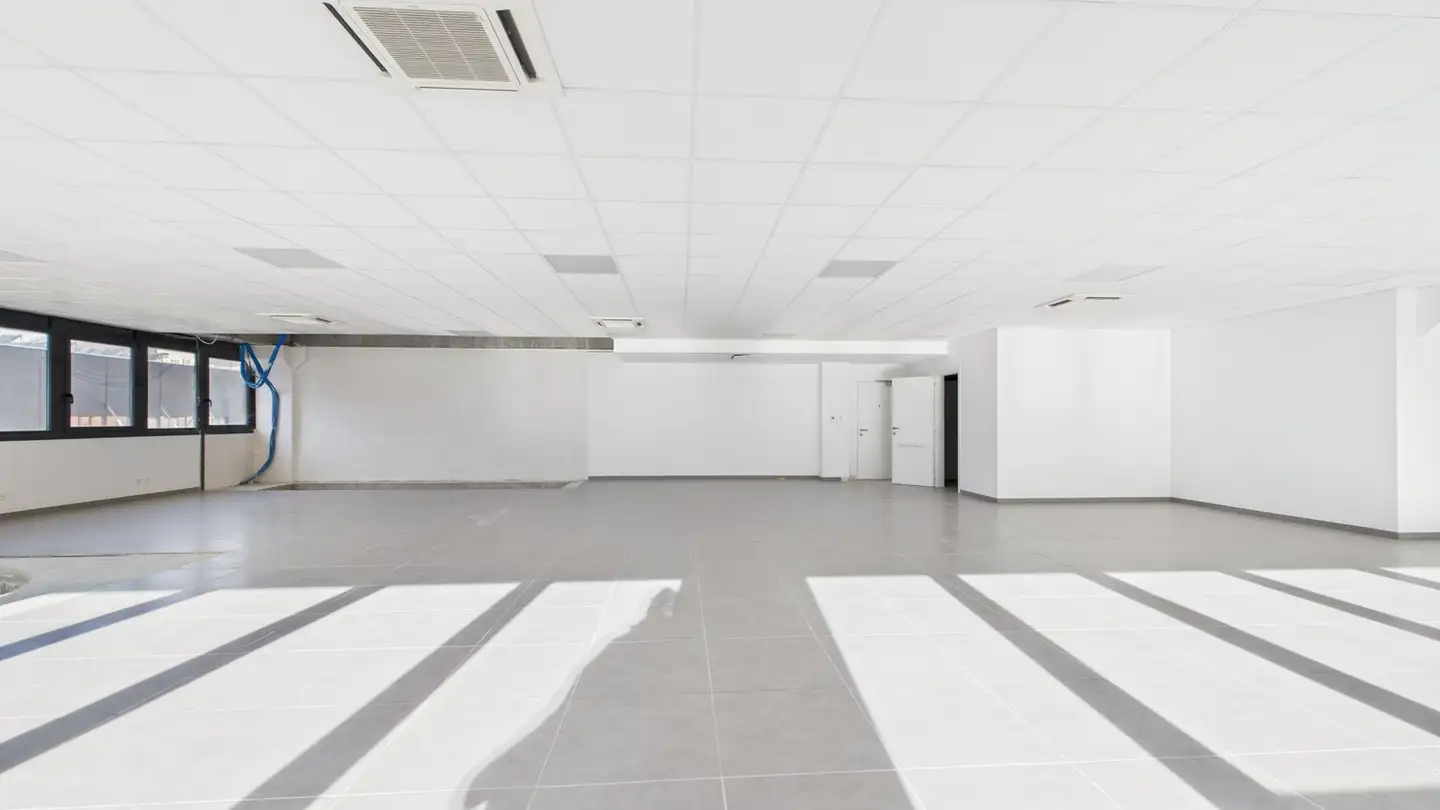 Grand magasin à vendre - 6512 Giubiasco - Photo 3