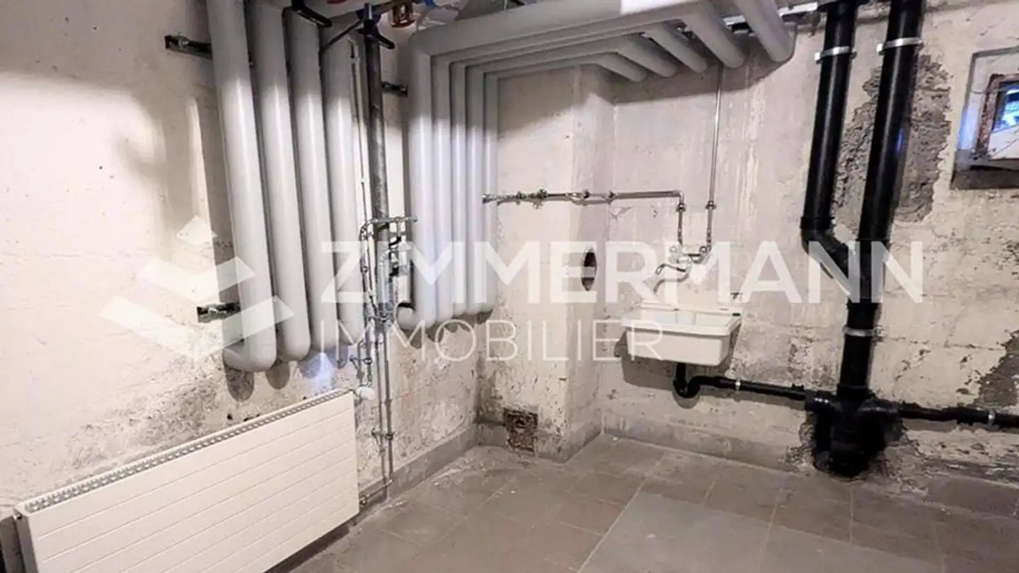 Geschäft mieten - Avenue Des Terreaux, 1890 St-Maurice - Foto 2