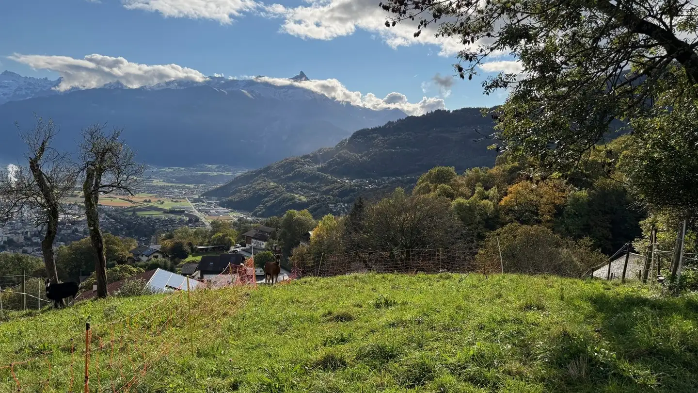 Terreno edificabile in vendita - 1868 Collombey - Photo 2