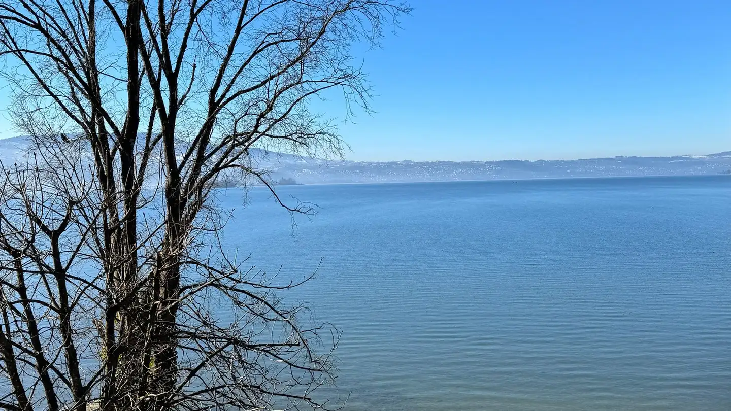 Appartamento in affitto - Zürcherstrasse 67, 8640 Rapperswil SG - Foto 2