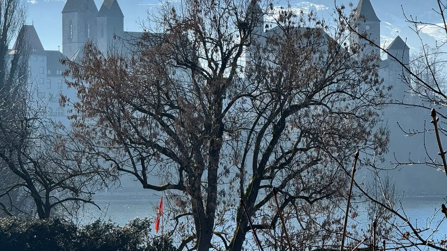 Appartamento in affitto - Zürcherstrasse 67, 8640 Rapperswil SG - Foto 3