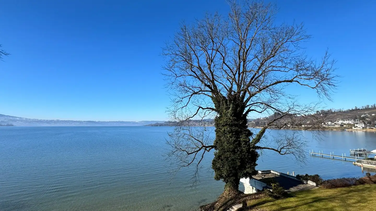 Appartamento in affitto - Zürcherstrasse 67, 8640 Rapperswil SG - Foto 4