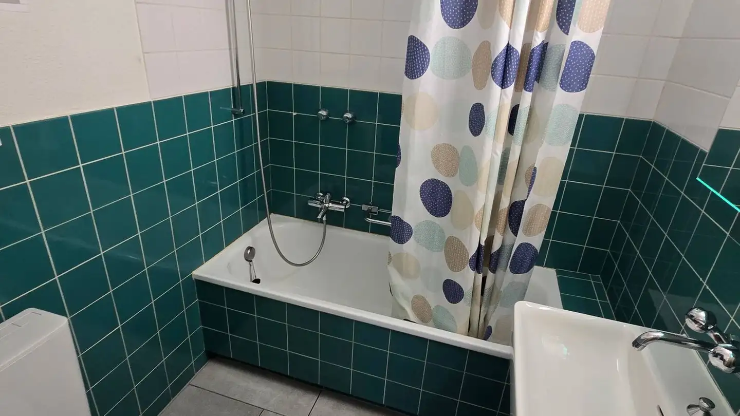 Appartamento in affitto - Döltschihalde 39, 8055 Zürich - Foto 3