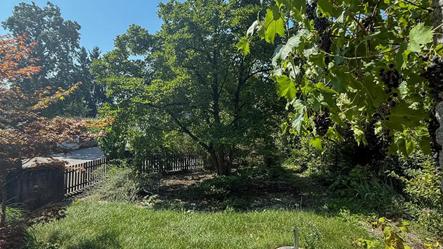 Duplex in vendita - Seedorfweg 1, 3053 Münchenbuchsee - Photo 4