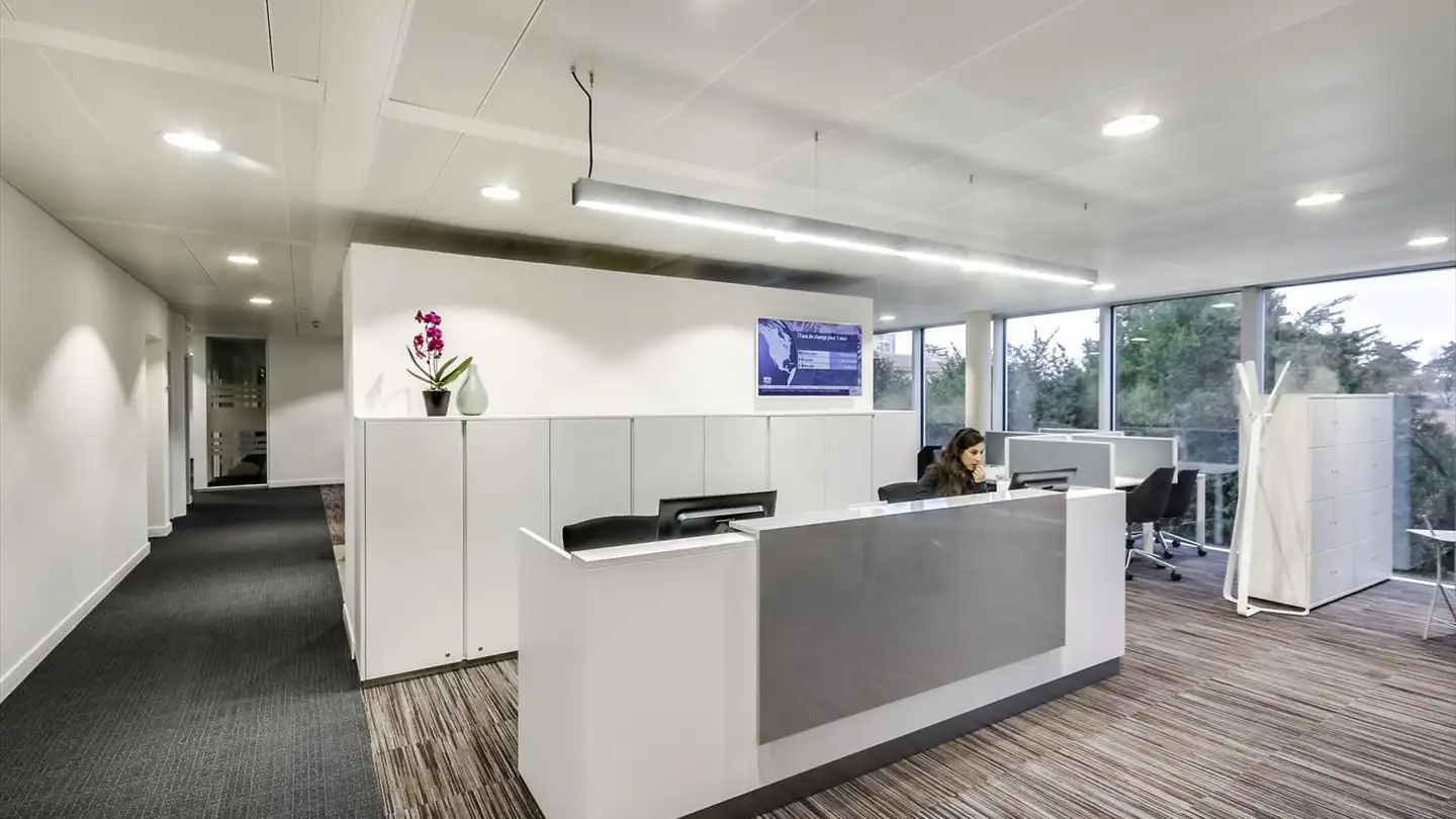 Gewerbe mieten - Chemin Jean-Baptiste Vandelle 3a, 1290 Versoix - Foto 4