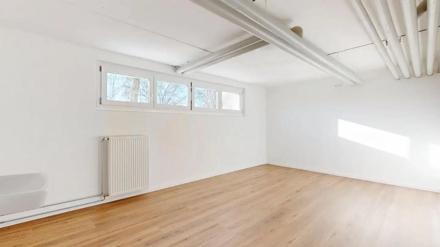 Spazio di archiviazione in affitto - Birsmattstrasse 25, 4106 Therwil - Foto 4