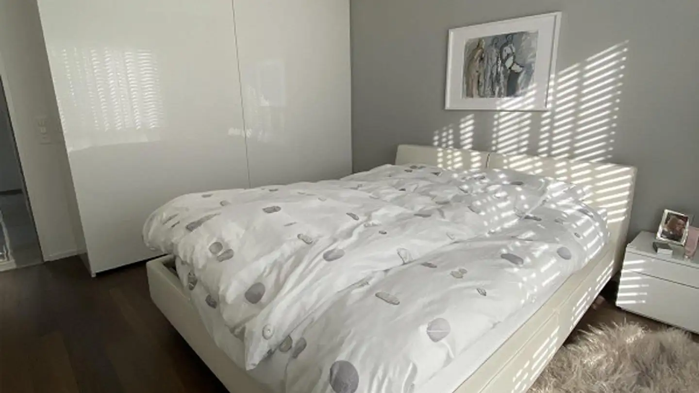 Attico in affitto - Fridolin-Hofer-Strasse 11, 6045 Meggen - Foto 3