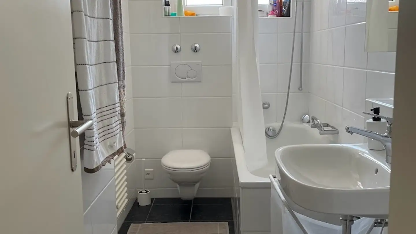 Appartamento in affitto - Schlossgasse 4, 8003 Zürich - Foto 3