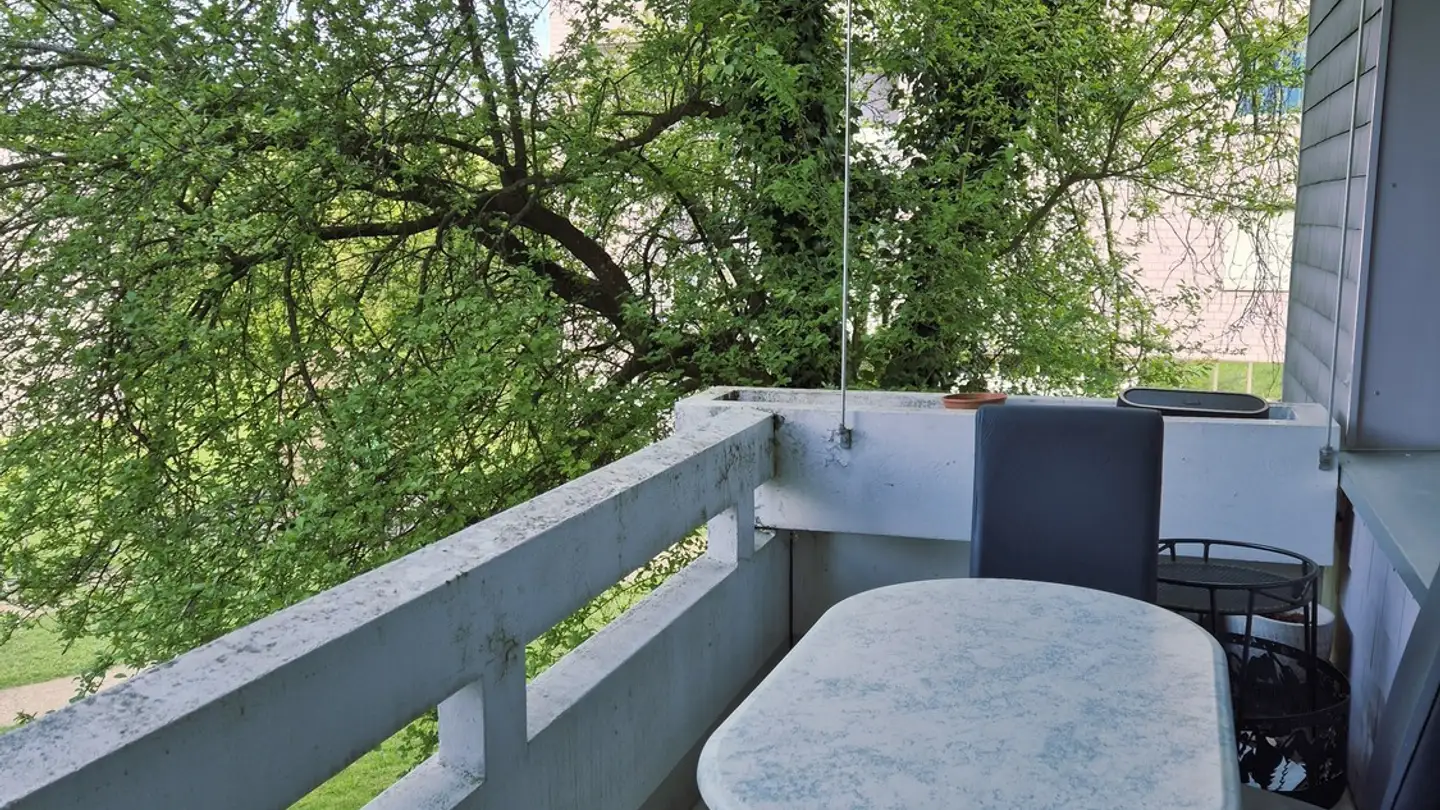 Stanza singola in affitto - 8902 Urdorf - Foto 3