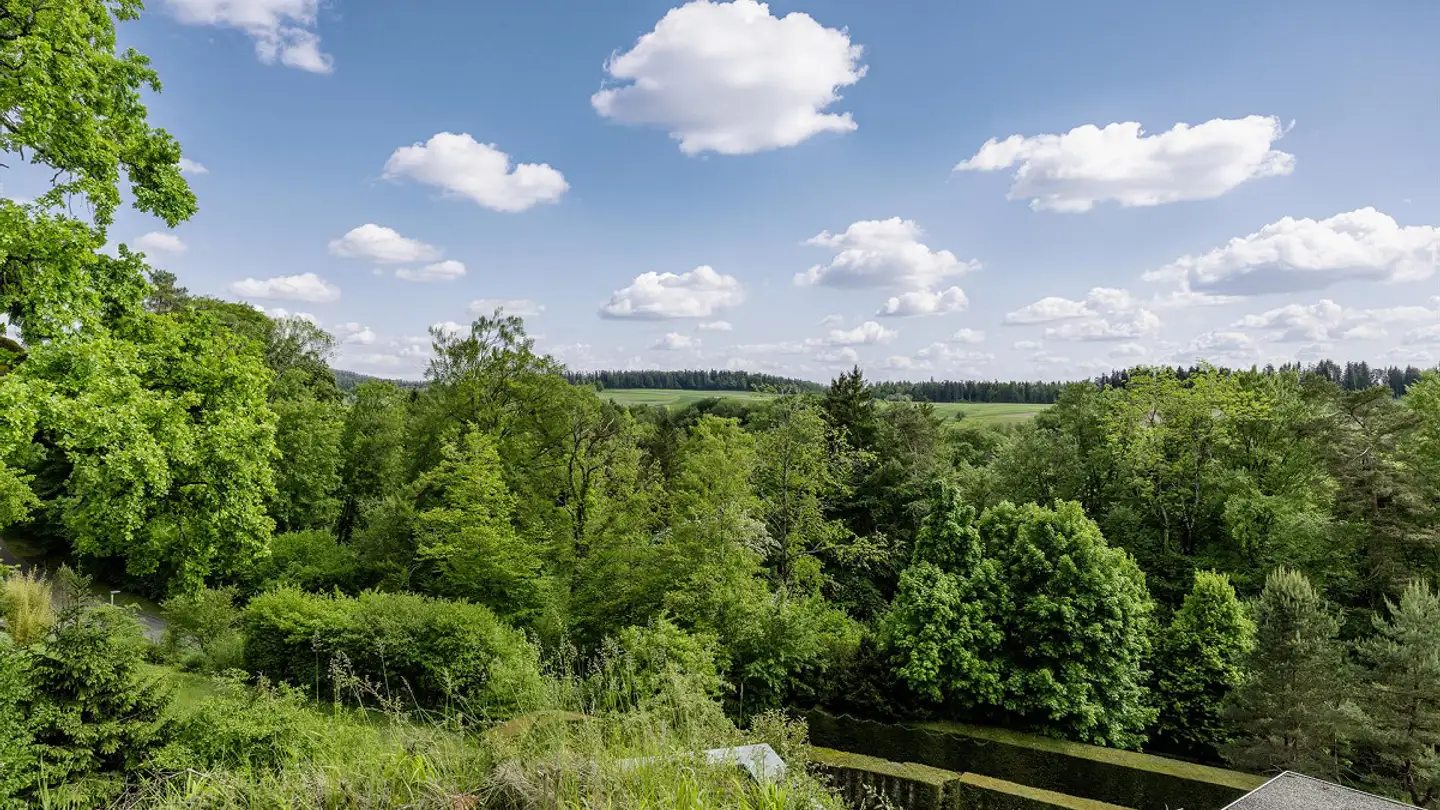 Terrain constructible à vendre - 8126 Zumikon - Photo 2