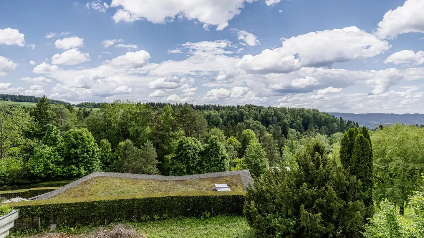 Terrain constructible à vendre - 8126 Zumikon - Photo 4