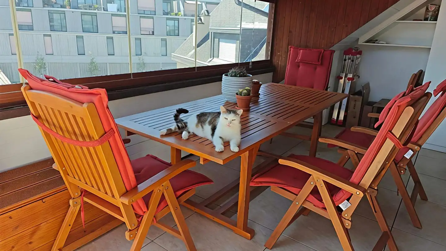 Appartamento in affitto - Stationsstrasse 44b, 8833 Samstagern - Foto 2