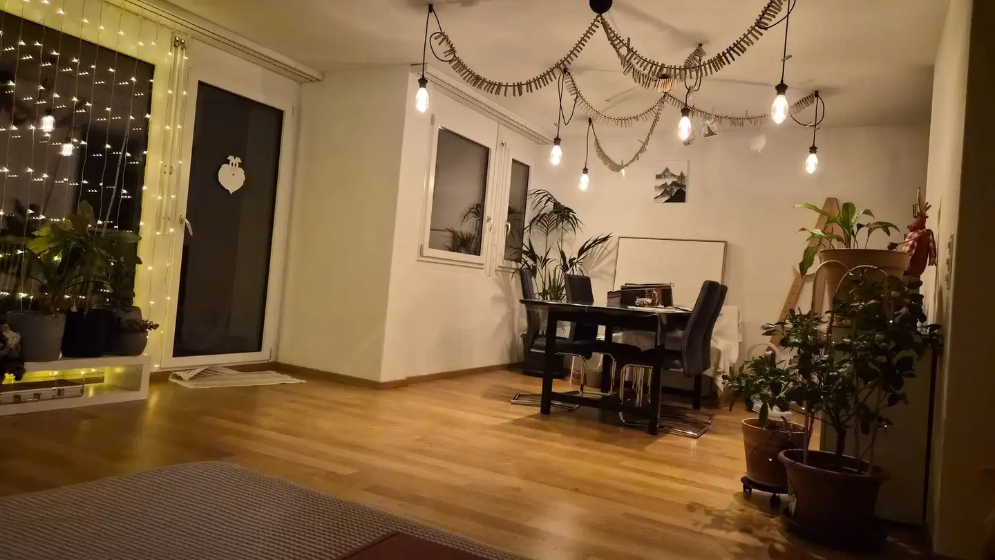 Stanza singola in affitto - 6006 Luzern