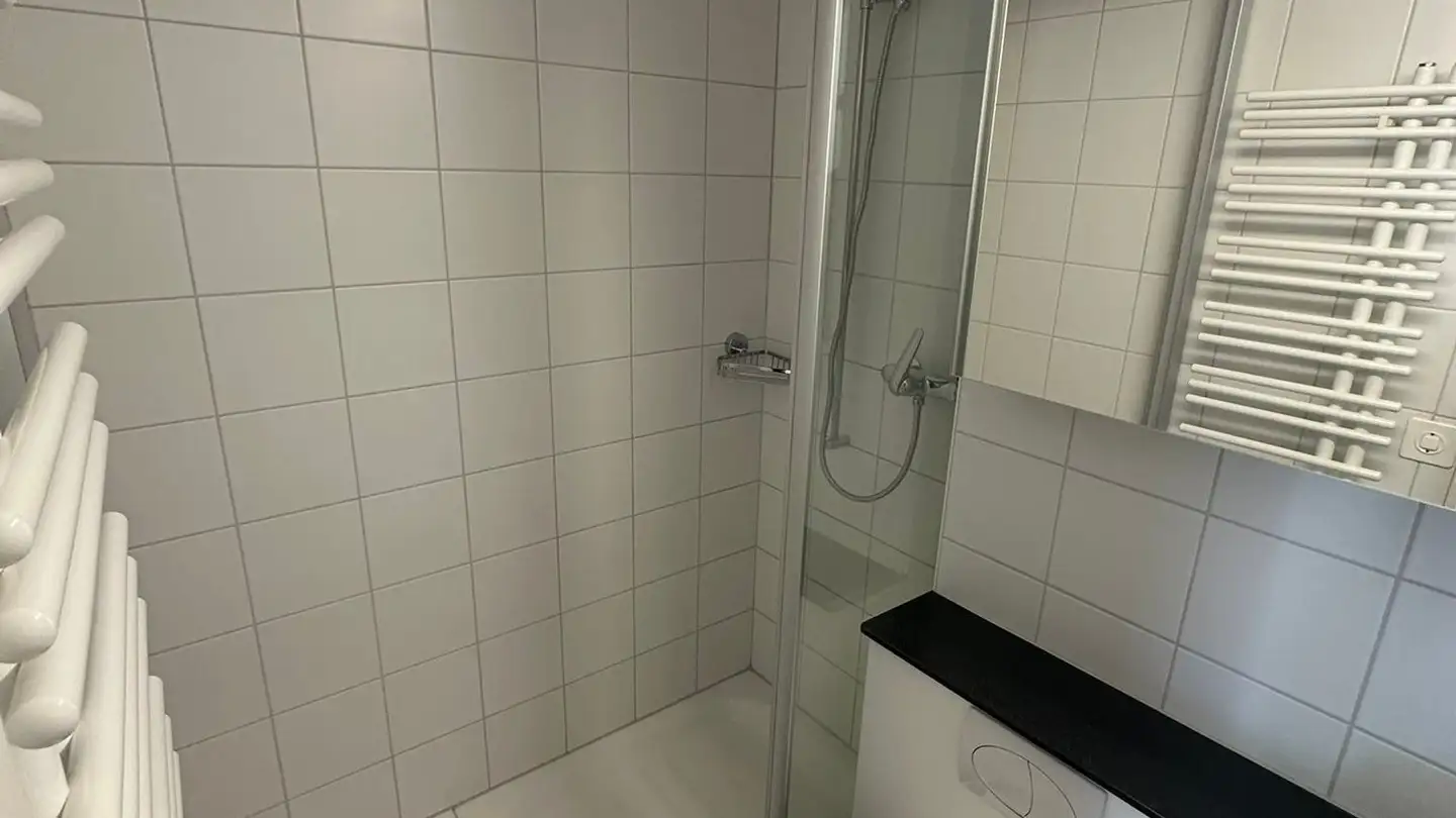 Terrassenwohnung mieten - Voltastrasse 58, 8044 Zürich - Foto 4