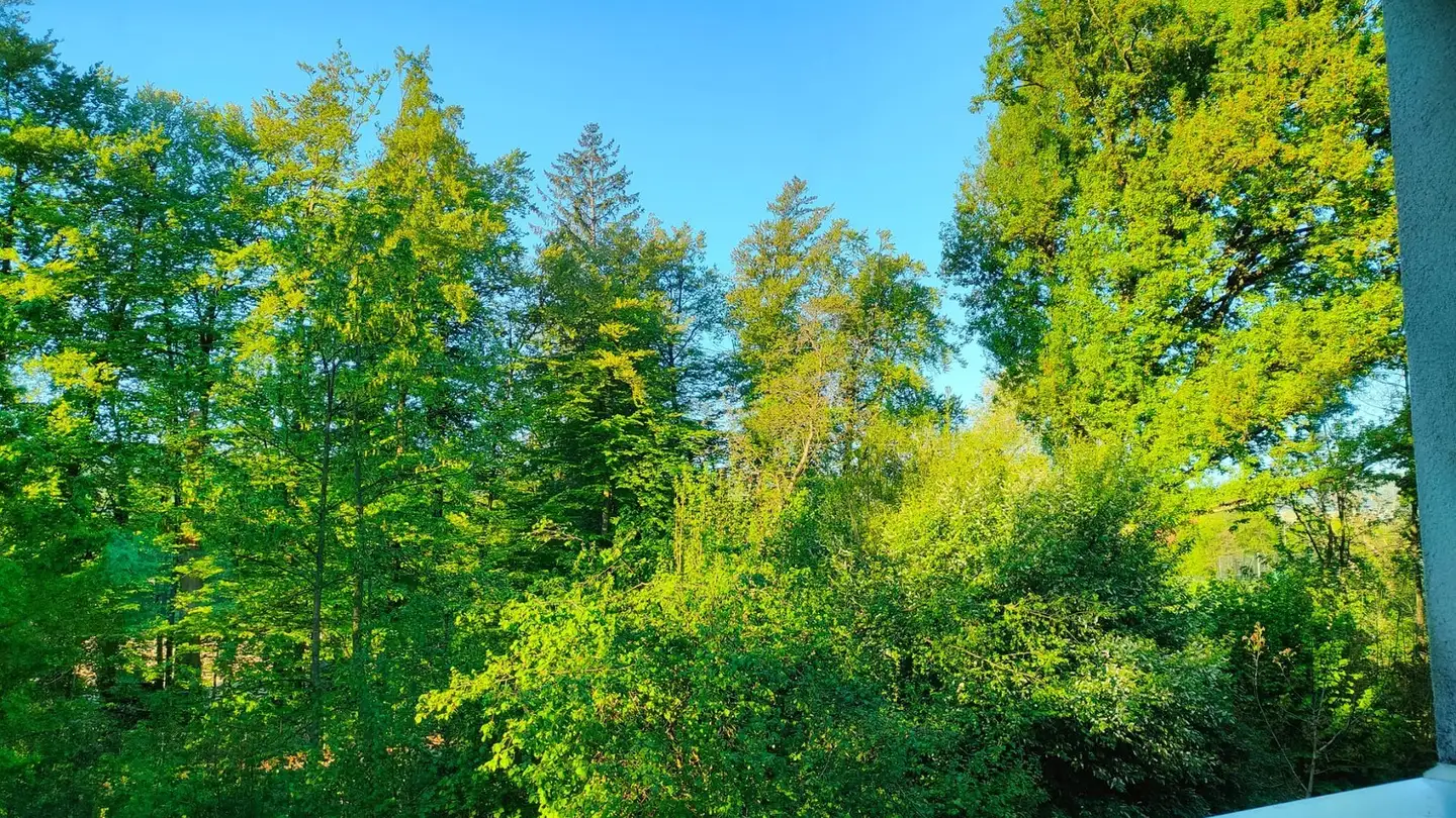 Single room for rent - Kirchweg 79, 8102 Oberengstringen - Photo 4
