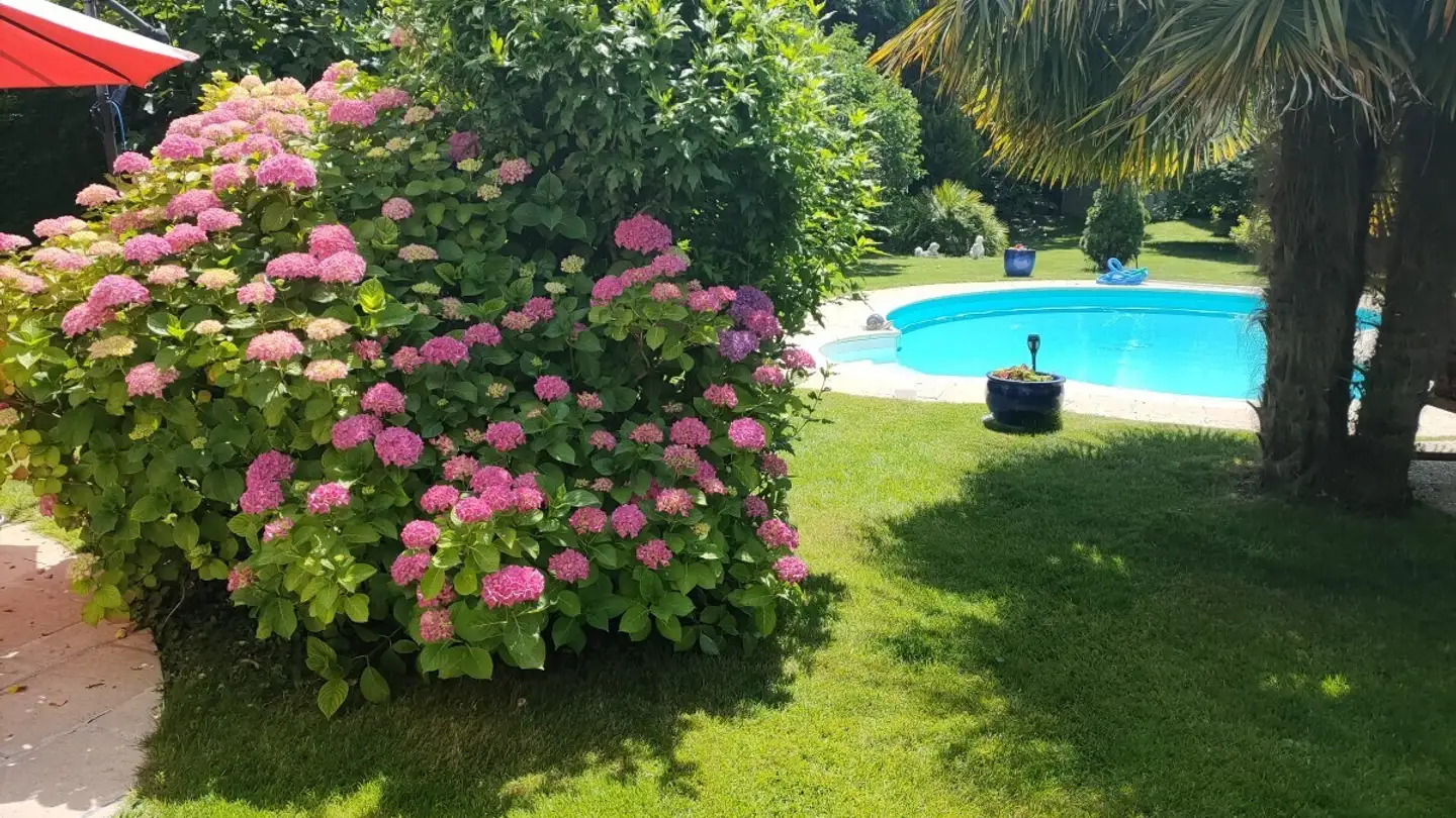 Einfamilienhaus kaufen - 1299 Crans-près-Céligny - Foto 2