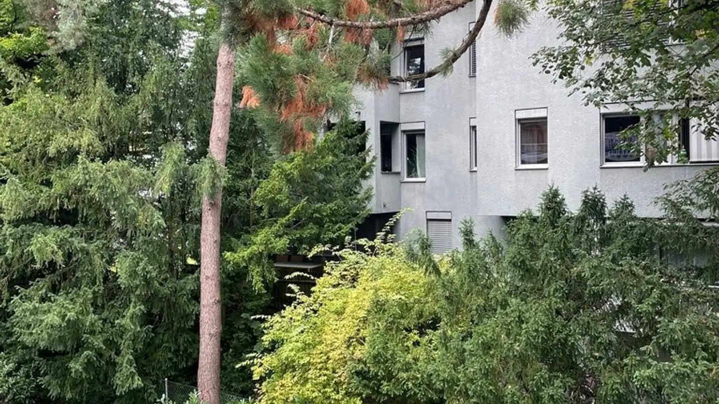 Duplex in affitto - Rieterstrasse 48, 8002 Zürich - Foto 4